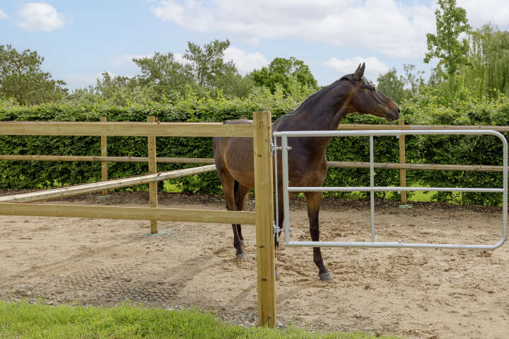 AKO Verstellbares Weidetor